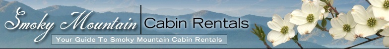 smoky mountain cabins